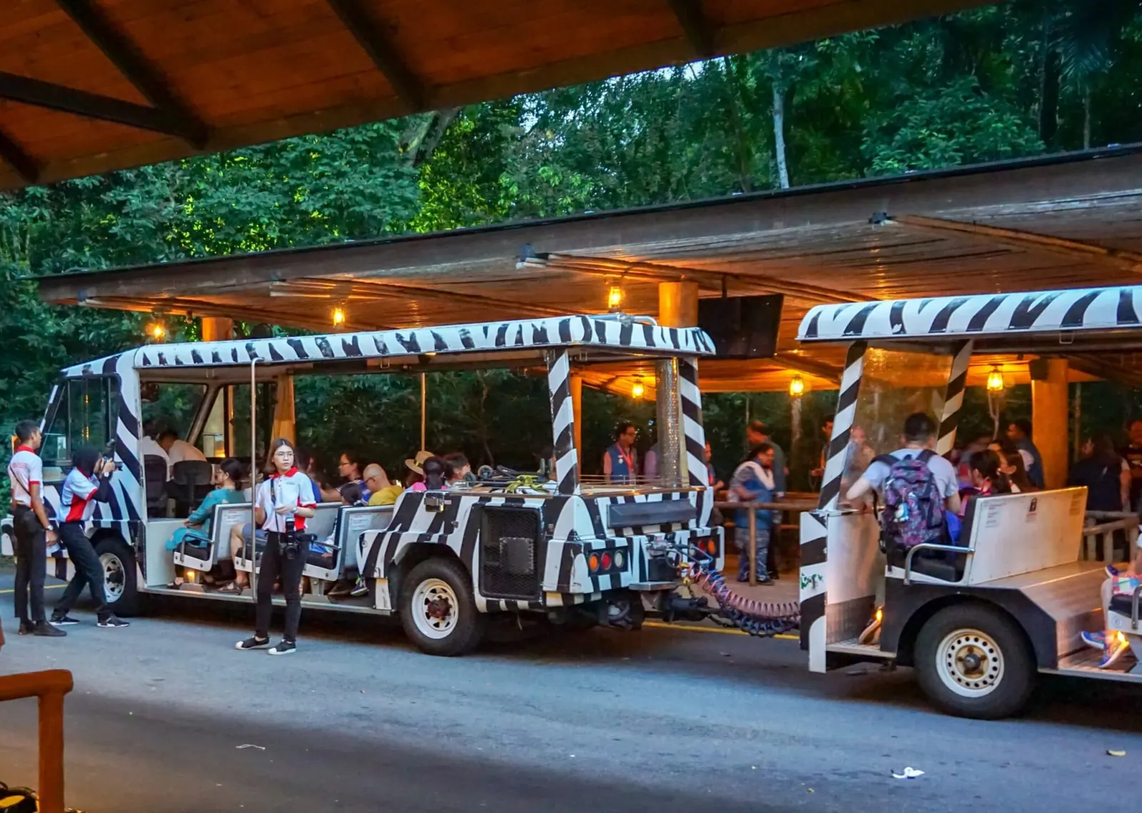 Night Safari